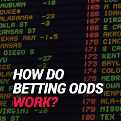 Fractional Betting Odds Defined: How Do They Work? Fractional Betting Odds Defined: How Do They Work?